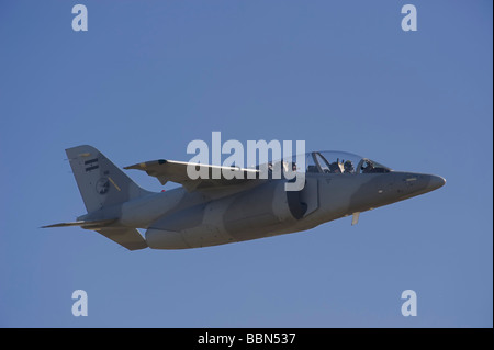 L'Armée de l'air argentine IA-63 ou à-63 Pampa Banque D'Images