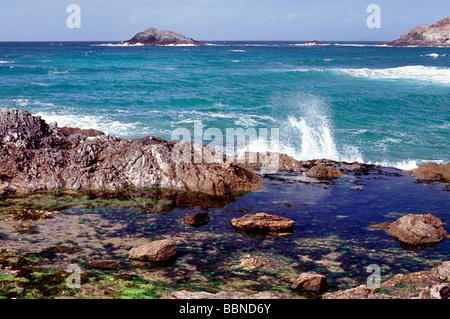 Un rockpool à Cornwall à marée basse Banque D'Images