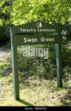 Signe de la Commission des forêts pour le nouveau vert Swan Forset dans le Hampshire en Angleterre Banque D'Images
