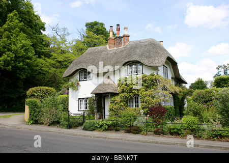 Un cottage au toit de chaume, laqué blanc à Swan Green Lyndhurst dans le Hampshire en Angleterre Banque D'Images