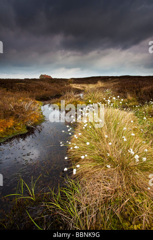 Maison de tir haute lande Egton North York Moors National Park Yorkshire Banque D'Images