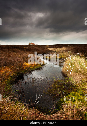 Maison de tir haute lande Egton North York Moors National Park Yorkshire Banque D'Images