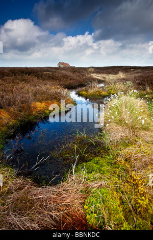 Maison de tir haute lande Egton North York Moors National Park Yorkshire Banque D'Images