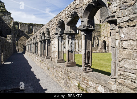 Géographie / voyage, Irlande, Theux, églises, monastères / Abbaye de Jerpoint, fondée : 1158, ruine, Additional-Rights Clearance-Info-cloître,-Not-Available Banque D'Images