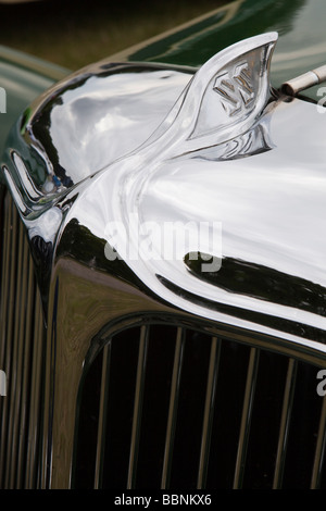 Radiateur automobile et de l'insigne de vieux classique peint vert britanniques ont fait 1931 SS1 Tourer voiture jaguar Banque D'Images