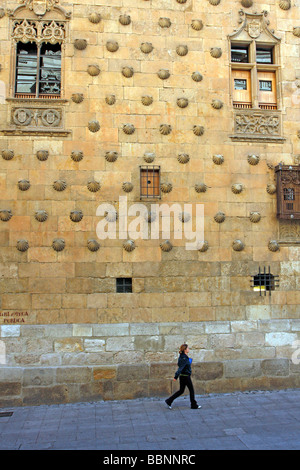 Sur le mur à la Casa de la Conchos, Chambre des coquillages, de la bibliothèque publique à Salamanque Espagne Banque D'Images