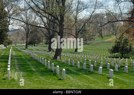 Le Cimetière National d'Arlington Arlington Virginia USA Banque D'Images