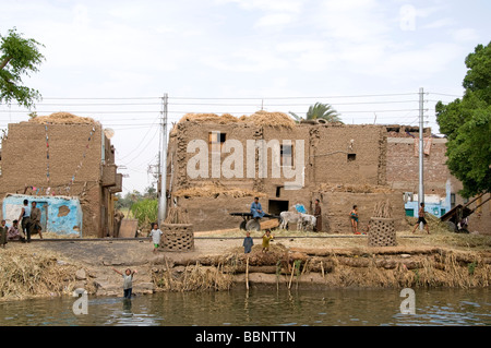 L'Égypte ferme agriculteur agriculture domaine vieux village sur le Nil près d'Assiout Banque D'Images