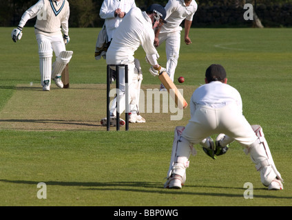 Jouer au cricket dans un match de championnat Banque D'Images