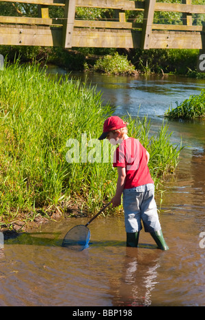 A cinq ans homme garçon enfant pêcher avec son filet de pêche essayant d'attraper des poissons dans une rivière au printemps au Royaume-Uni Banque D'Images