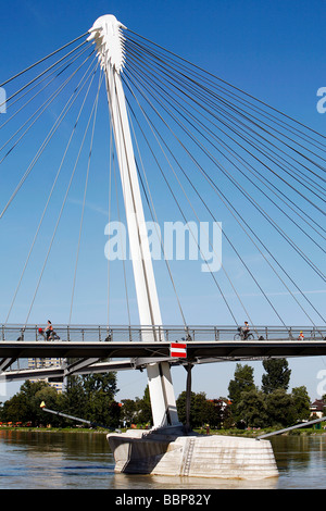 La passerelle Mimram, DEUX-RIVES JARDIN, STRASBOURG, BAS RHIN (67), Alsace, France, Europe Banque D'Images