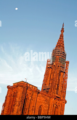 La cathédrale de Strasbourg, Strasbourg, Bas-rhin (67), Alsace, France Banque D'Images