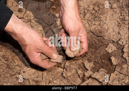 Agriculteur à la recherche et à l'exploitation sol desséché qui est fendu et séché Banque D'Images