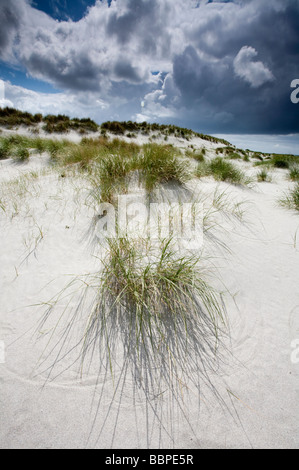 Plage sur South Uist Banque D'Images