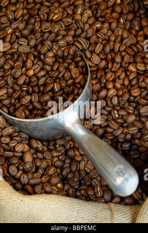 Les GRAINS DE CAFÉ TORRÉFIÉS dans un sac en toile de jute, CAFE DUCHOSSOY, LE HAVRE, Seine-maritime (76), NORMANDIE, France Banque D'Images