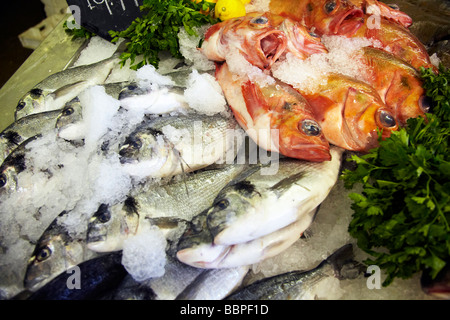 Le poisson frais sur la glace, Whitstable, Kent Banque D'Images