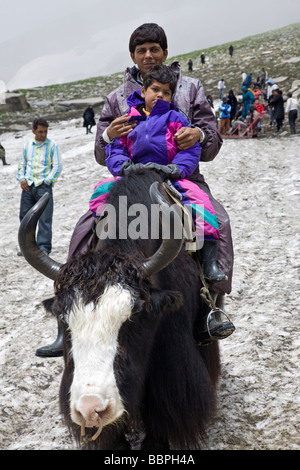 Père et fils sur un Yak. La Rohtang Pass (3978msg m).L'Himachal Pradesh. L'Inde Banque D'Images