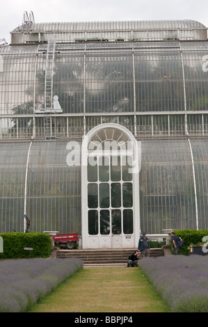 Kew gardens 09 06 2009 Cours de formation nikon Banque D'Images