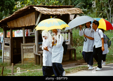 Sarawak Malaisie enfants allant à la maison de l'école avec parasols Banque D'Images