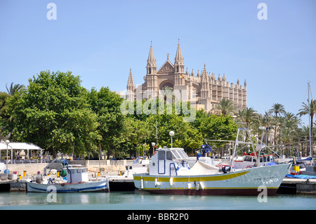 La cathédrale de Palma, Palma de Mallorca, Palma de Mallorca, municipalité, Iles Baléares, Espagne Banque D'Images