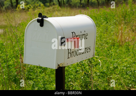 Prairie à herbes hautes du Fermilab Fox River Valley à Batavia Northern Illinois USA US brochure dristribution de boîte aux lettres Banque D'Images