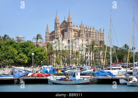 La cathédrale de Palma, Palma de Mallorca, Palma de Mallorca, municipalité, Iles Baléares, Espagne Banque D'Images