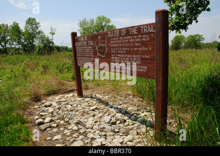 Prairie à herbes hautes du Fermilab Fox River Valley à Batavia Northern Illinois USA sentier d'affichage Banque D'Images