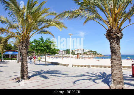 Platja des Carregador, Palmanova, Municipalité de Calvia (Majorque), Mallorca, Iles Baléares, Espagne Banque D'Images