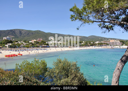 Platja des Carregador, Palmanova, municipalité de Calvià, Majorque, Îles Baléares, Espagne Banque D'Images