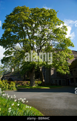 Diocèse de la cathédrale de Brecon Brecon et Swanage Banque D'Images