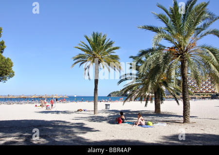 Vue sur la plage, Palmanova, Municipalité de Calvia, Majorque, Îles Baléares, Espagne Banque D'Images