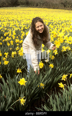 Young Woman picking jonquilles dans un champ de Cornouailles au printemps, Cornwall, UK Banque D'Images