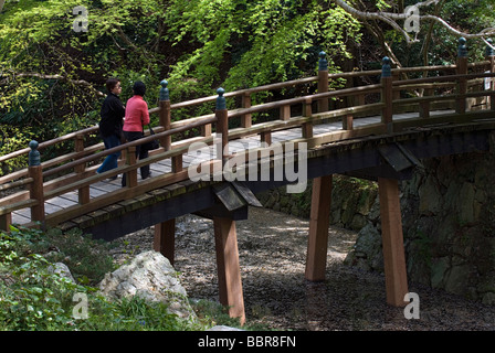 Deux personnes traversant sur un pont de bois cintrées doucement dans un jardin japonais au parc du château de Hamamatsu Banque D'Images