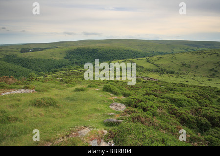 Avis de Sharp Tor sur gorge Dart en été,avec réservoir d'Venford dans loin, Dartmoor, Devon, England, UK Banque D'Images