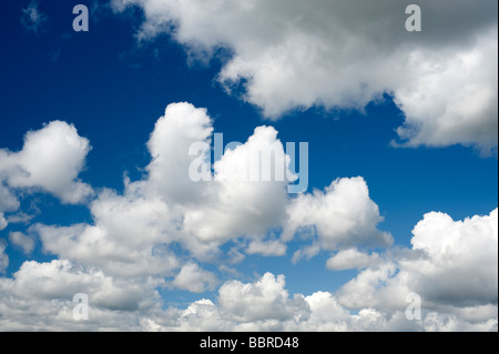 Journée ensoleillée avec ciel bleu et blanc de nuages gonflés de l'État de Washington USA Marysville Banque D'Images