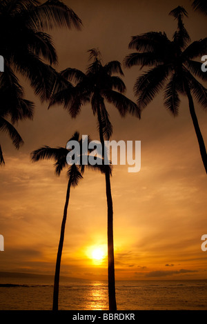 Coucher de Kapalua Beach Maui Hawaii Banque D'Images