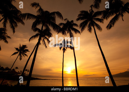 Coucher de Kapalua Beach Maui Hawaii Banque D'Images