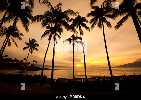 Coucher de Kapalua Beach Maui Hawaii Banque D'Images