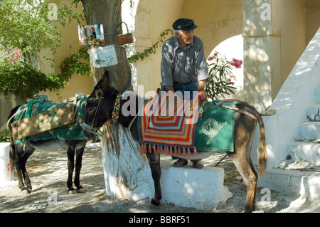 Un homme local offrant le transport d'ânes à Perissa sur l'île grecque de Santorin, dans la mer Égée Banque D'Images