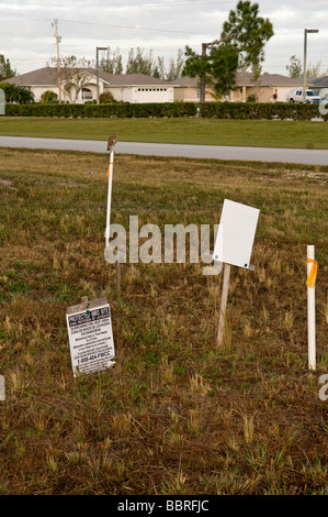 : Chevêche des terriers Speotyto cunicularia. Cape Coral Florida USA site du nid en suburb Remarque sur owl post Banque D'Images