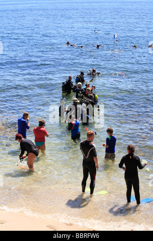 Les plongeurs dans l'eau à la célèbre réserve aquatique Fly Point Nelson Bay, Port Stephens Australie Banque D'Images