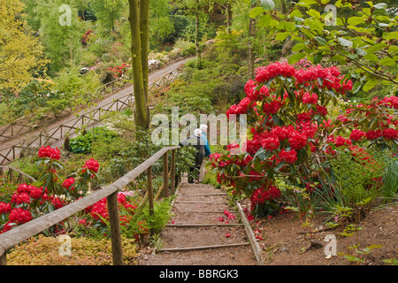 Le jardin de l'Himalaya, près de Grewelthorpe, Yorkshire du Nord Banque D'Images