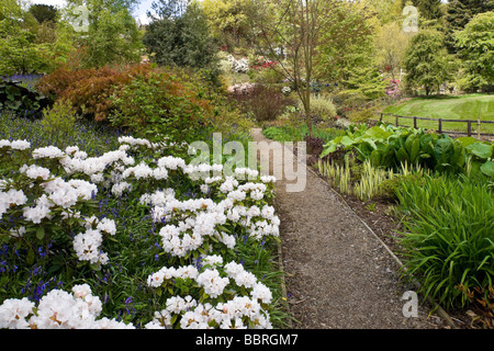 Le jardin de l'Himalaya, près de Grewelthorpe, Yorkshire du Nord Banque D'Images