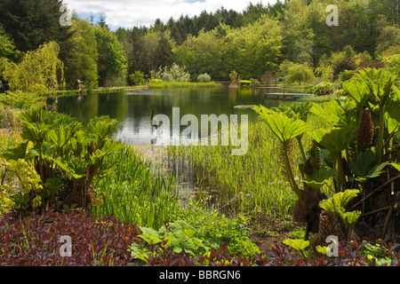 Le jardin de l'Himalaya, près de Grewelthorpe, Yorkshire du Nord Banque D'Images