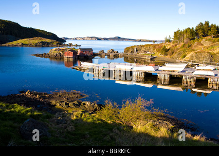 Tizzard s Harbour Terre-Neuve Canada Banque D'Images