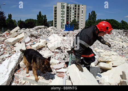 L'ÉQUIPE DE CHIEN DES POMPIERS FTOM LES POMPIERS DU CHER EN FORMATION RECHERCHE VICTIME, BOURGES (18), FRANCE Banque D'Images