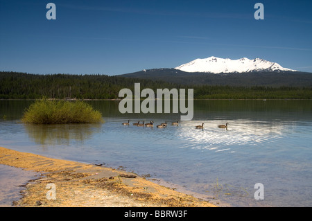 Pointe diamant Oregon de Crescent Lake Banque D'Images