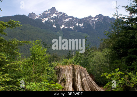 White Chuck Mountain, North Cascades, Banque D'Images