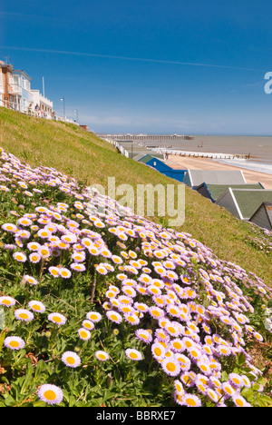 Vue de Southwold front de mer à la mer avec la jetée en arrière-plan et de fleurs en premier plan au printemps au Royaume-Uni Banque D'Images