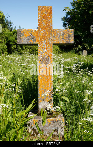 Croix de pierre couverts de lichen tombe pierre tombale dans un cimetière envahi par la uk worcestershire Banque D'Images